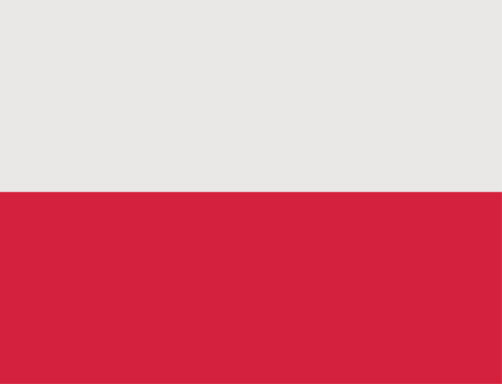 Nadruk GROT Białystok, proste logo + flaga - Lewy
